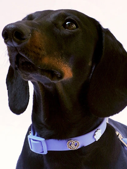 PAWPOPZ – Charm „Breze“