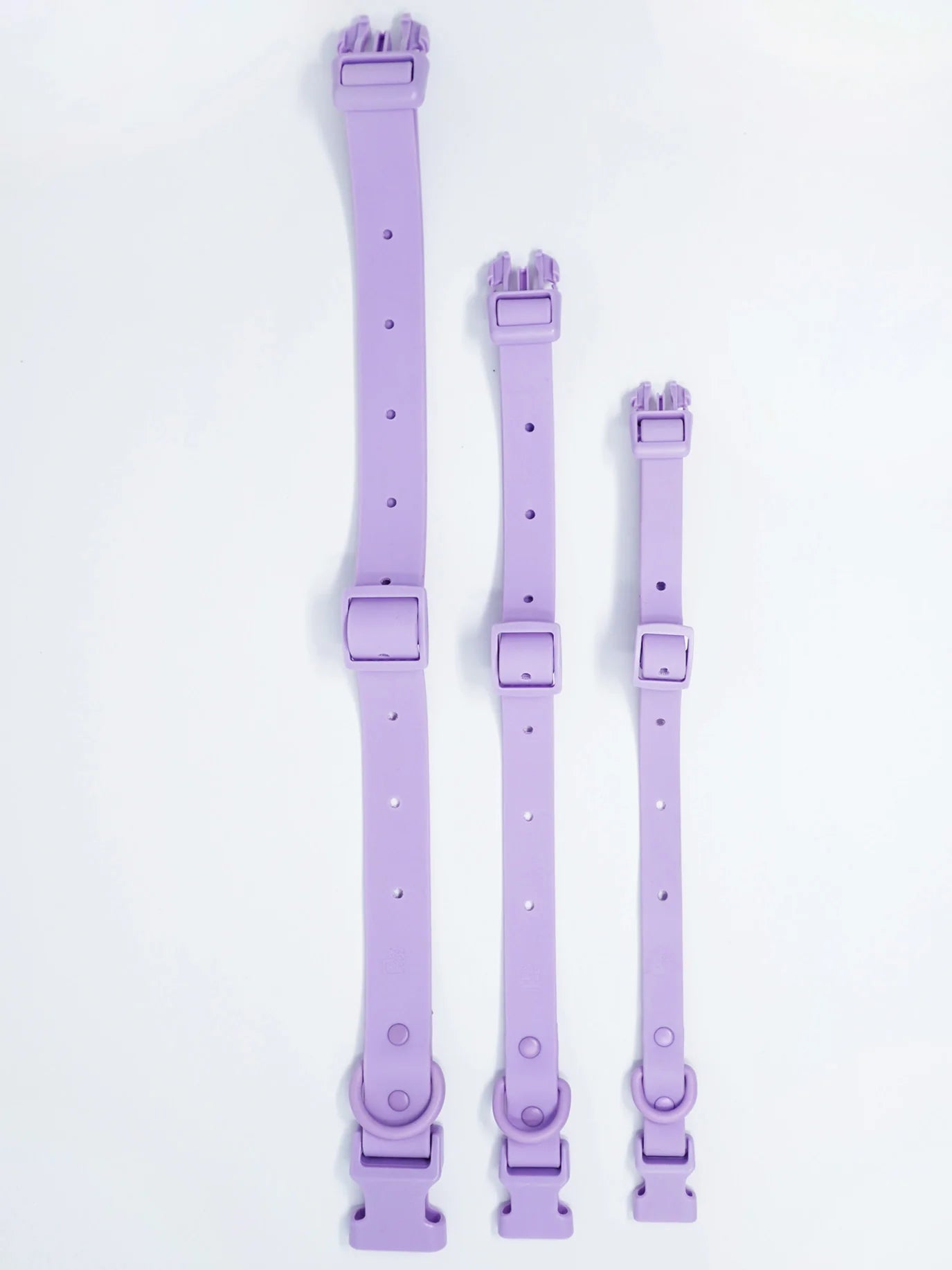 PAWPOPZ – Personalisiertes Hundehalsband - Schwarz