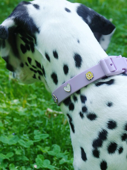 PAWPOPZ – Charm „Herz“