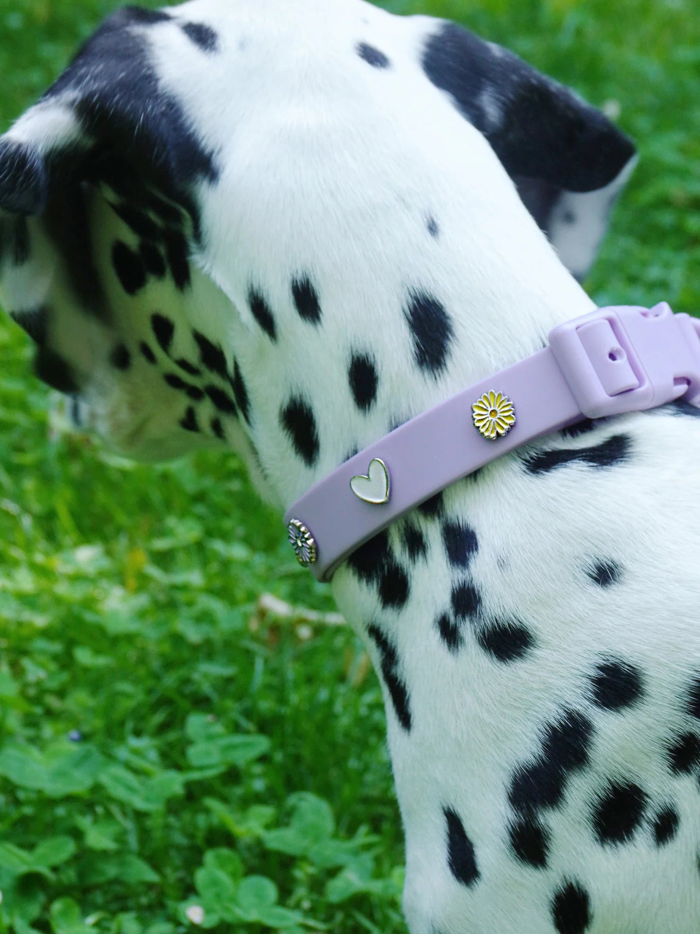 PAWPOPZ – Charm "Heart" - Pink