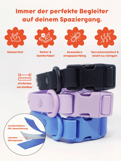 PAWPOPZ – Personalisiertes Hundehalsband - Schwarz