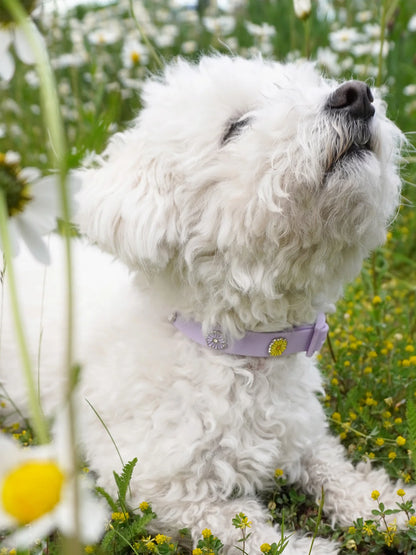 PAWPOPZ – Charm „Blume“