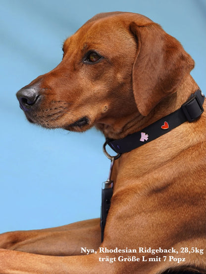 PAWPOPZ – Personalisiertes Hundehalsband - Schwarz