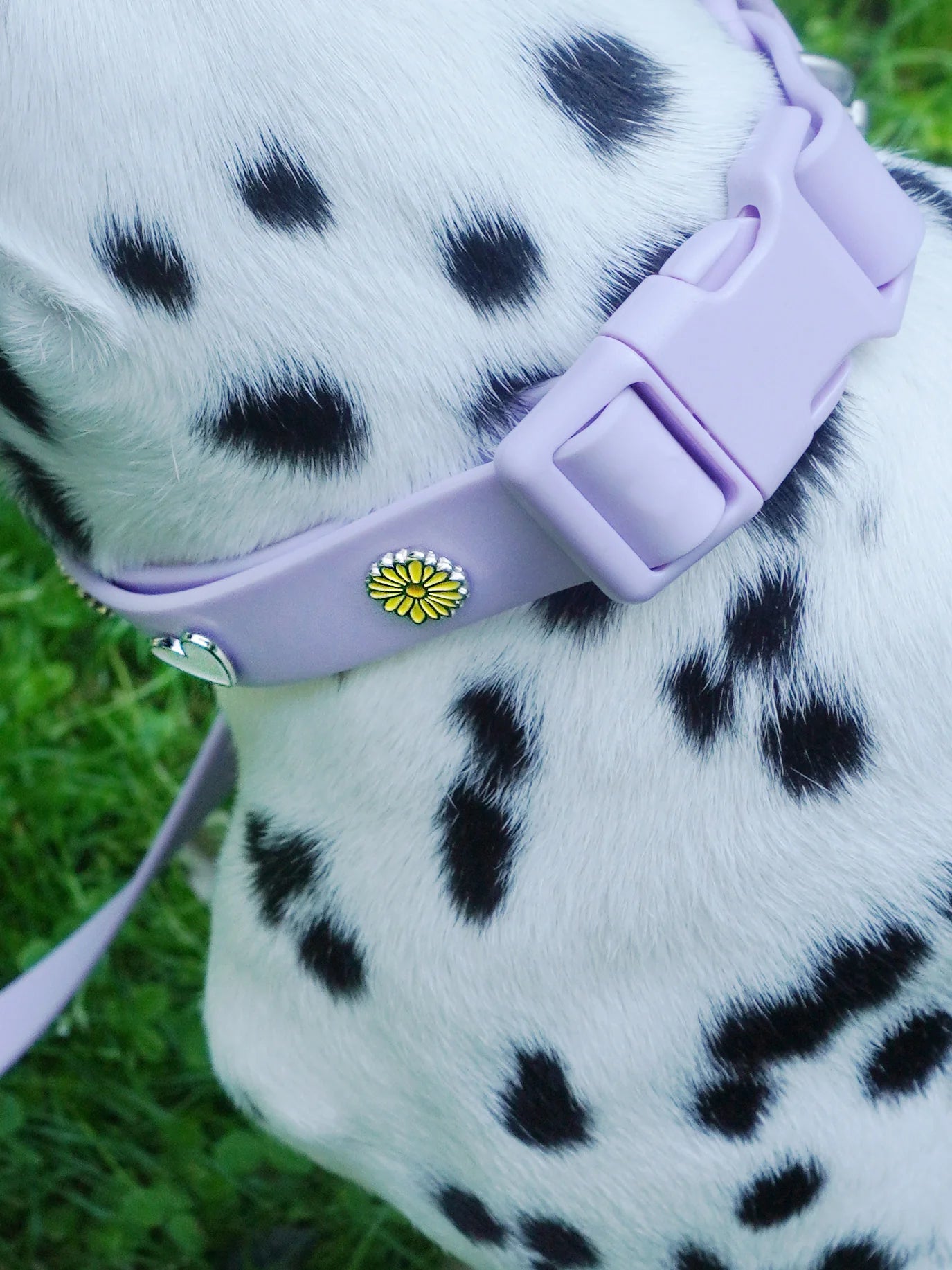 PAWPOPZ – Charm „Blume“ - Rosa