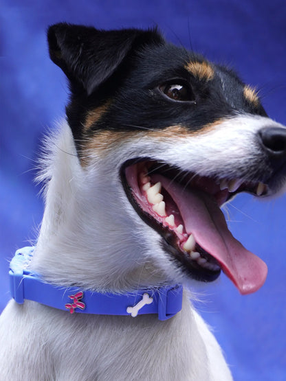 PAWPOPZ – Charm „Ballon Hund“