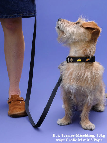 PAWPOPZ - Halsband & Leine Set - Schwarz