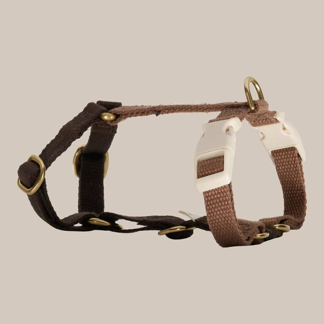 DREW'S DOGWEAR - Verstellbares Hundegeschirr Chocolate mit goldenen Details