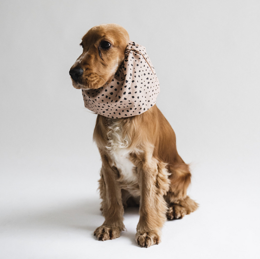 LOU & CO. - Hunde Snood "Ohrenschutz" mit Punkten - OSSO BLU