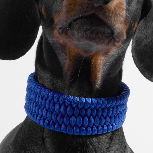 VALKA KUKUR - ROYAL BLUE COLLAR