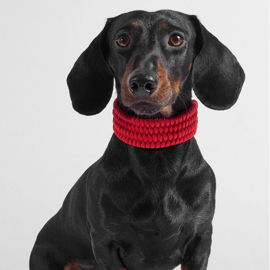 VALKA KUKUR - PARTY RED COLLAR