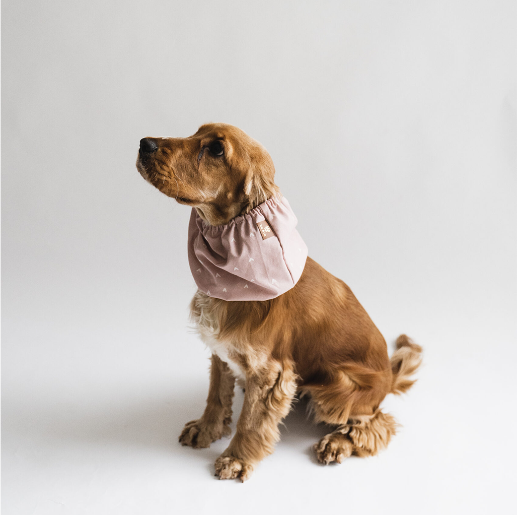 LOU & CO. - Hunde Snood "Ohrenschutz" in Dusty Pink