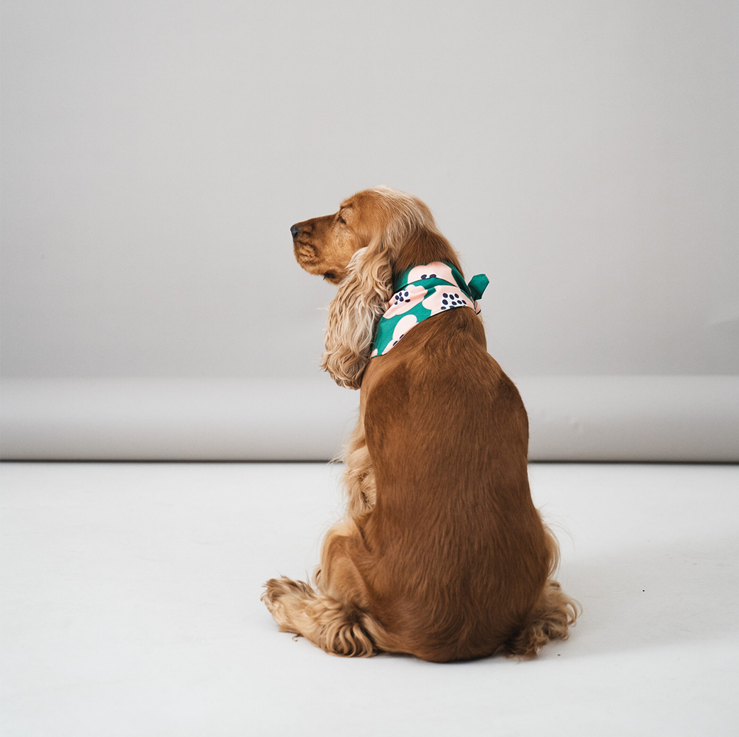 LOU &amp; CO. - “Flower Field” scarf