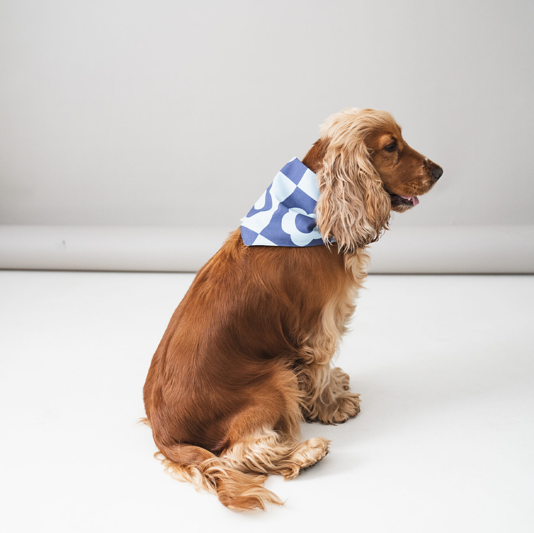 LOU &amp; CO. - “Blue Flowers” ​​scarf