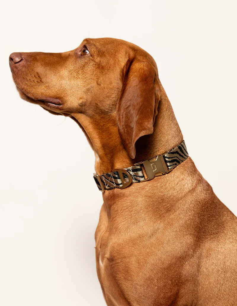 DOGGUO - Zebra Halsband – Beige/Black - OSSO BLU