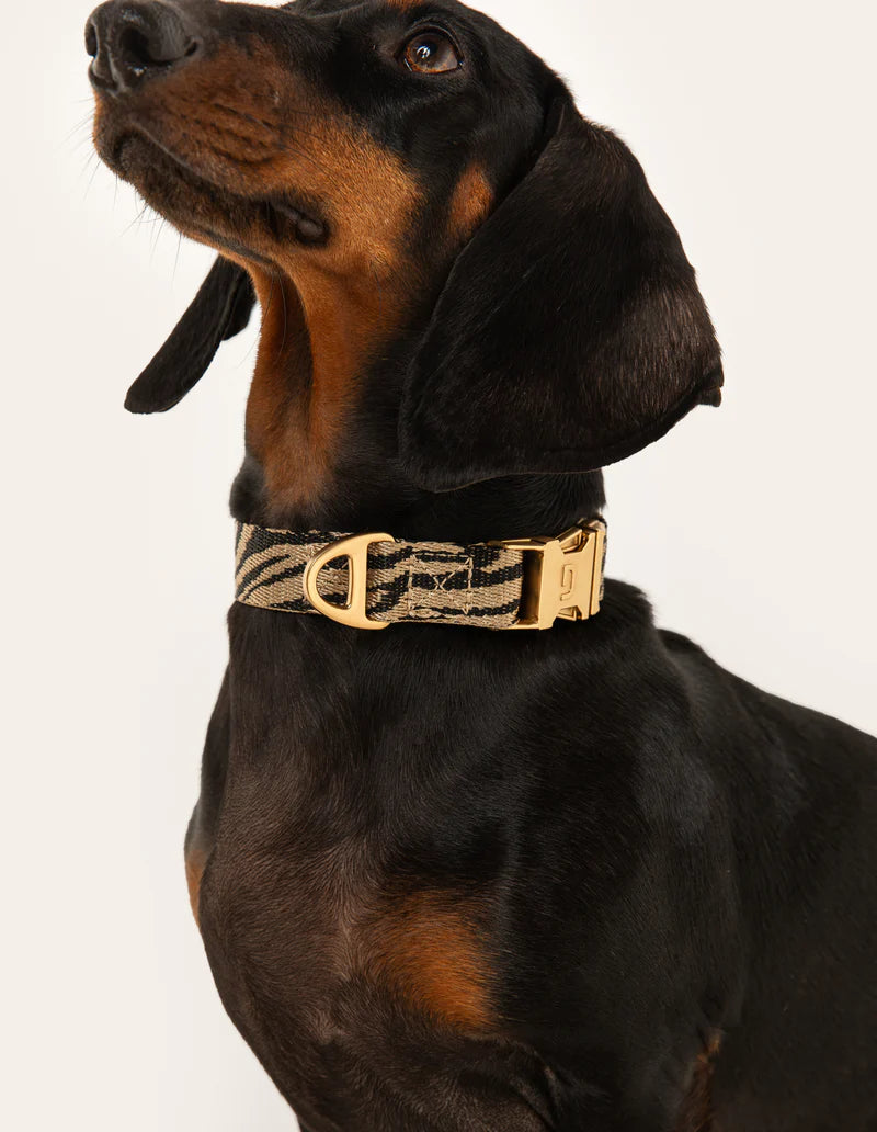 DOGGUO - Zebra Halsband – Beige/Black - OSSO BLU
