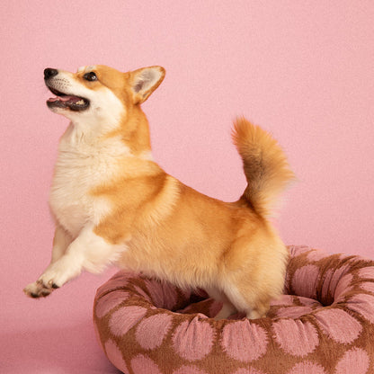DOGGUO - Punkt-Rundes Hundebett | Orthopädisches Hundebett mit Memory-Schaum