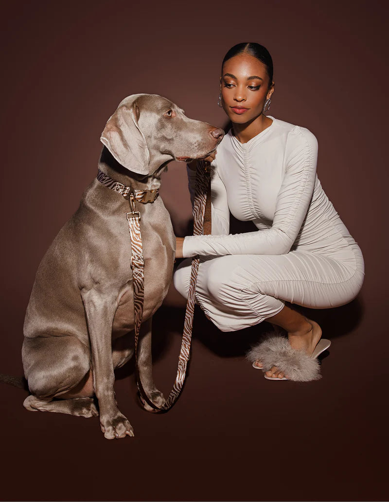 DOGGUO - Zebra Halsband – Brown/Beige - OSSO BLU