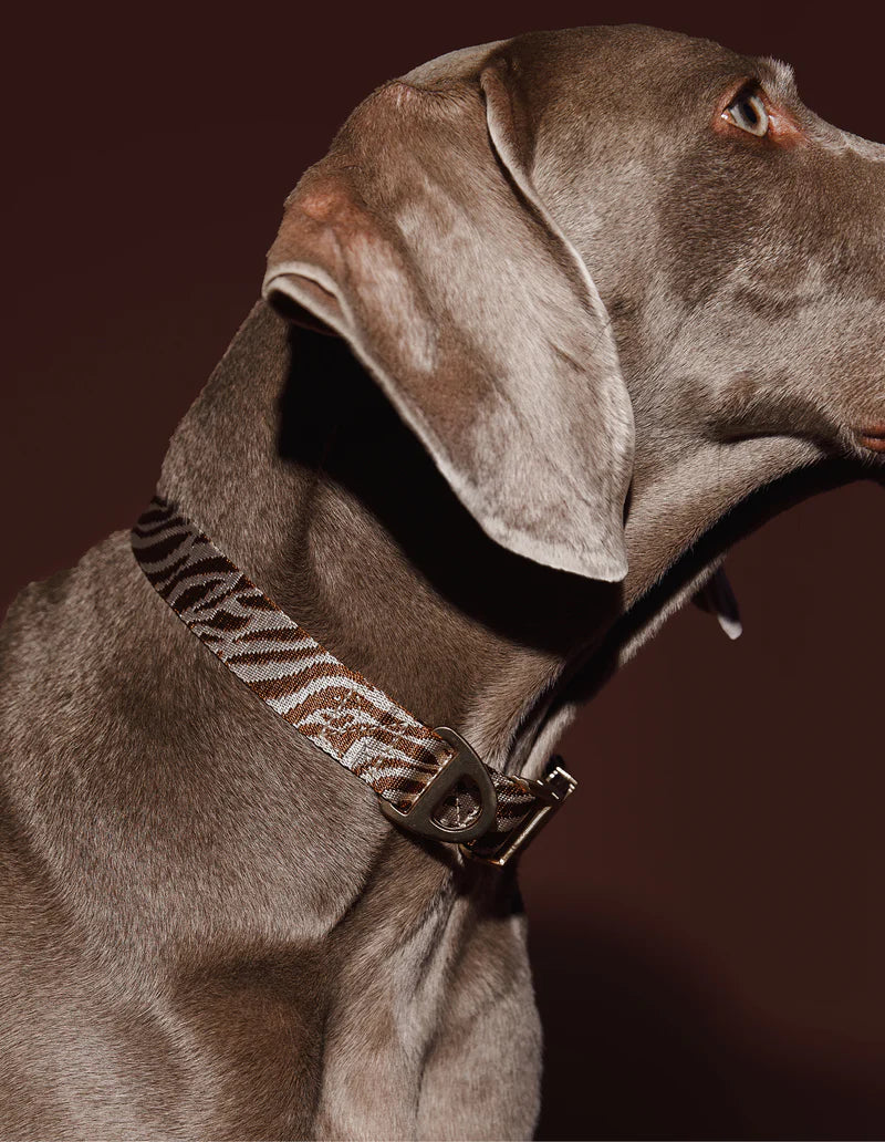 DOGGUO - Zebra Halsband – Brown/Beige - OSSO BLU