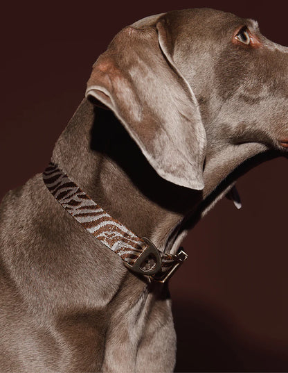 DOGGUO - Zebra Halsband – Brown/Beige - OSSO BLU
