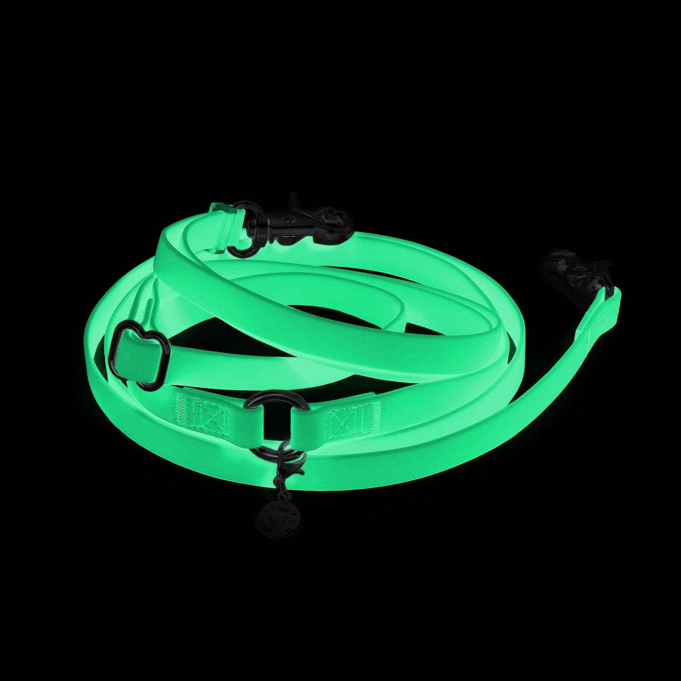 SUNNY TAILS - 4-in-1 Convertible & Multifunctional Dog Leash - Glow in the Dark