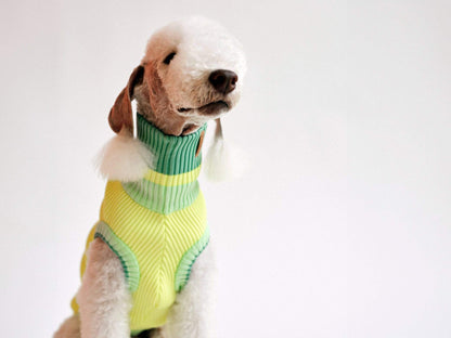 LUMIIES – Glow Jumper 2.0 Hundepullover Neon Matcha
