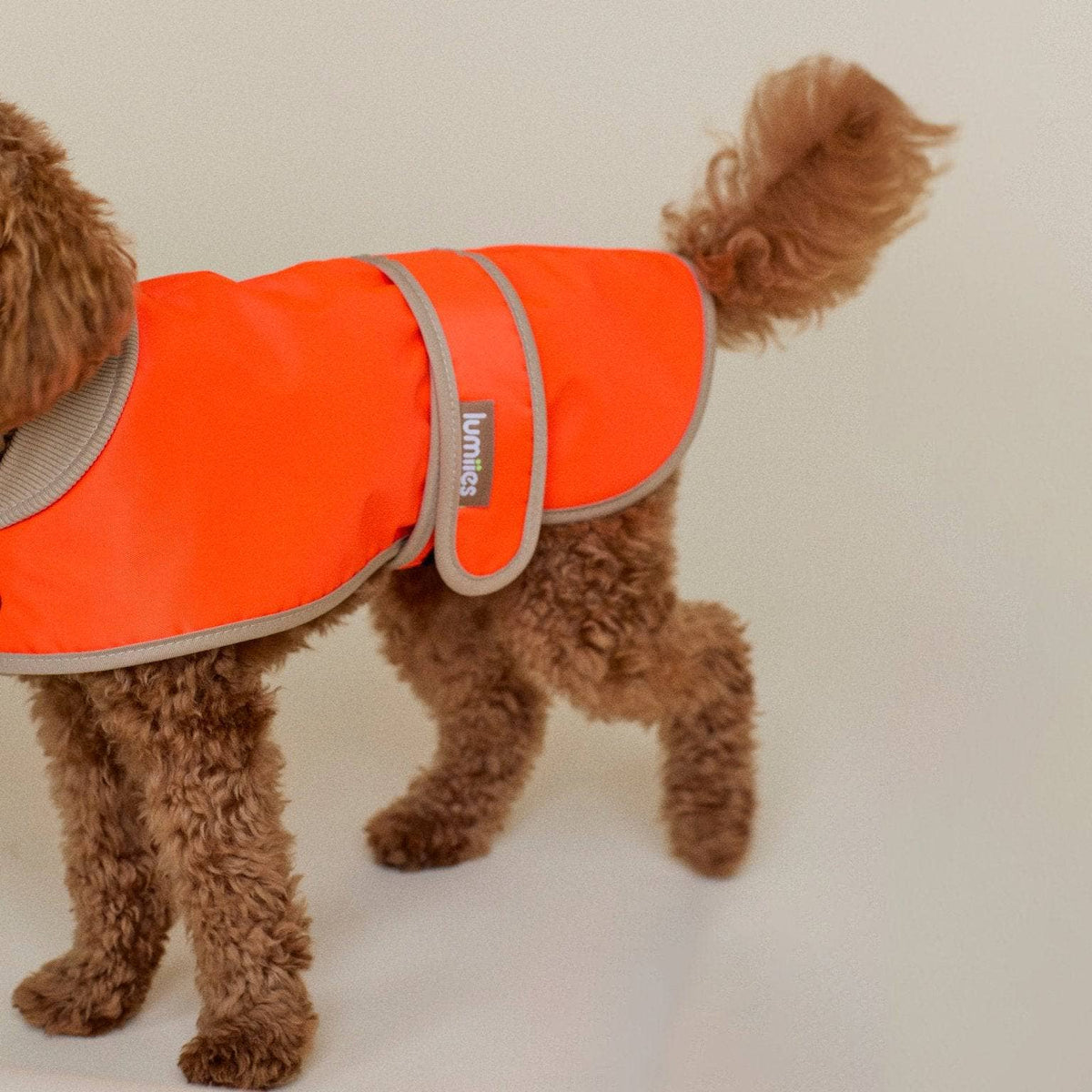 LUMIIES – Glow Raincoat Mini-Fit Hunderegenmantel Neonorange