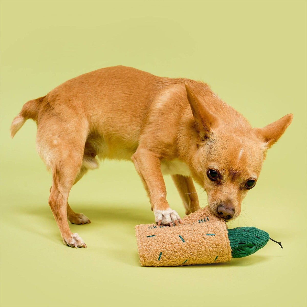 the furryfolks - Nosework-Hundespielzeug „Fried Pickle“ - OSSO BLU