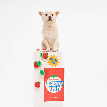 the furryfolks - Cherry Tomato Such- und Zerrspielzeug für Hunde - OSSO BLU