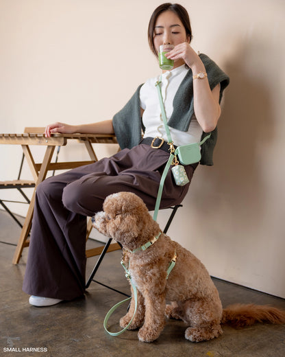 SUNNY TAILS - Wasserdichtes Hundegeschirr - Pistaziengrün