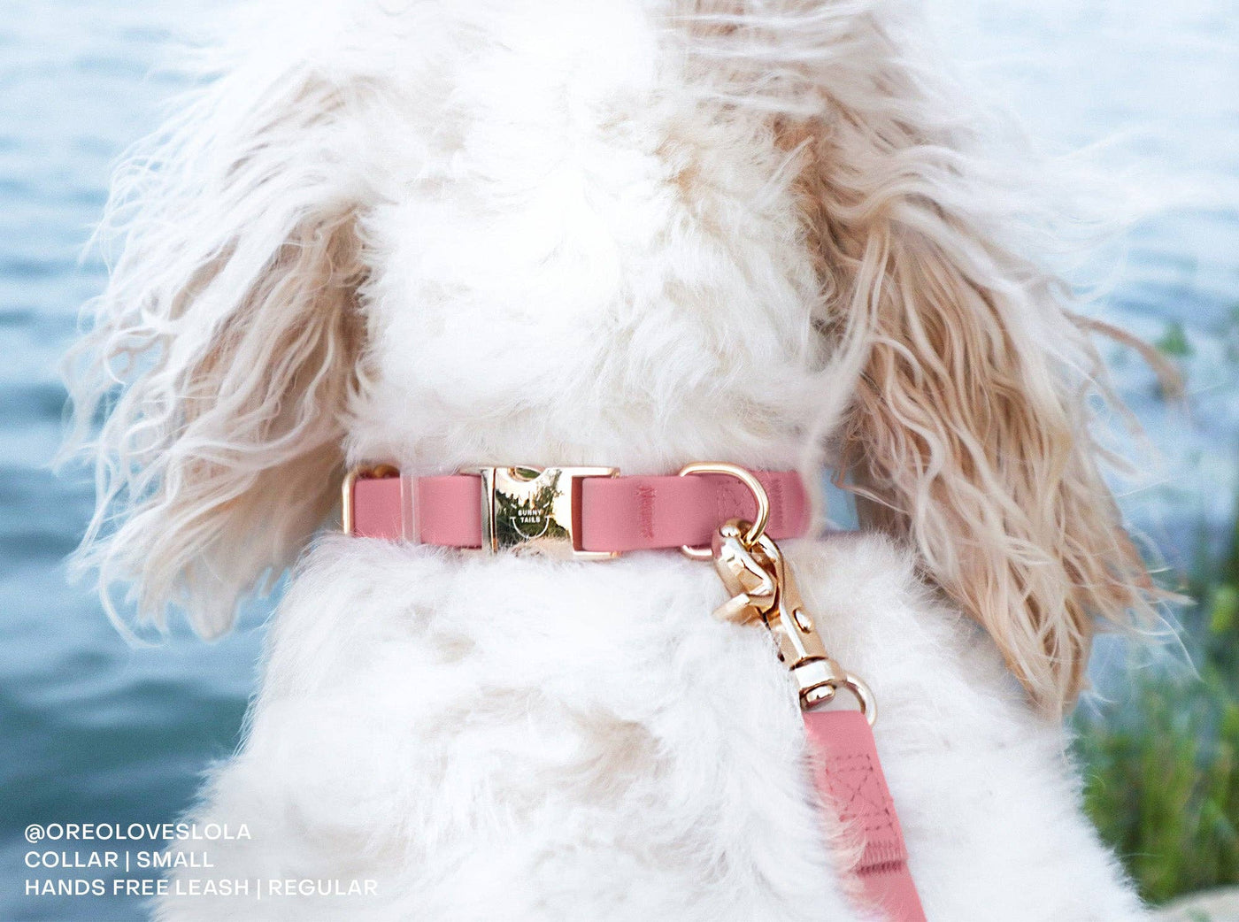 SUNNY TAILS - Waterproof Dog Collar - Perfect Pink