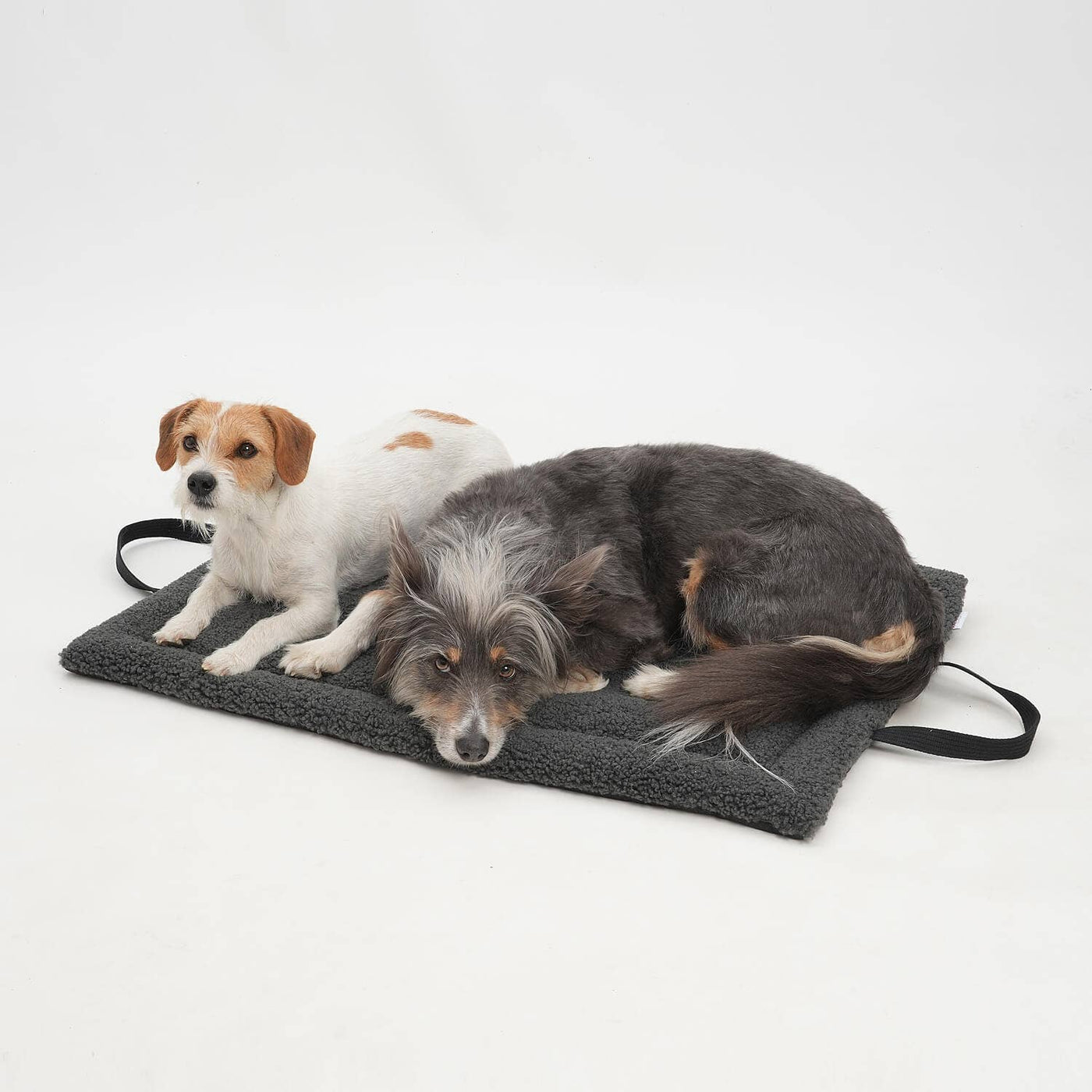 DOGS IN THE CITY® - Matti travel mat – graphite