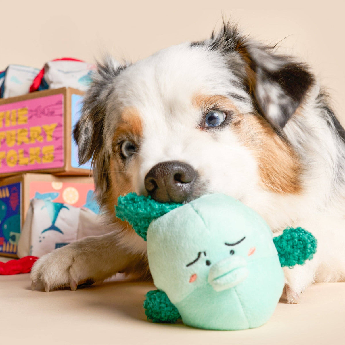 the furryfolks - Fisch Express Nasenarbeit Spielzeug - OSSO BLU