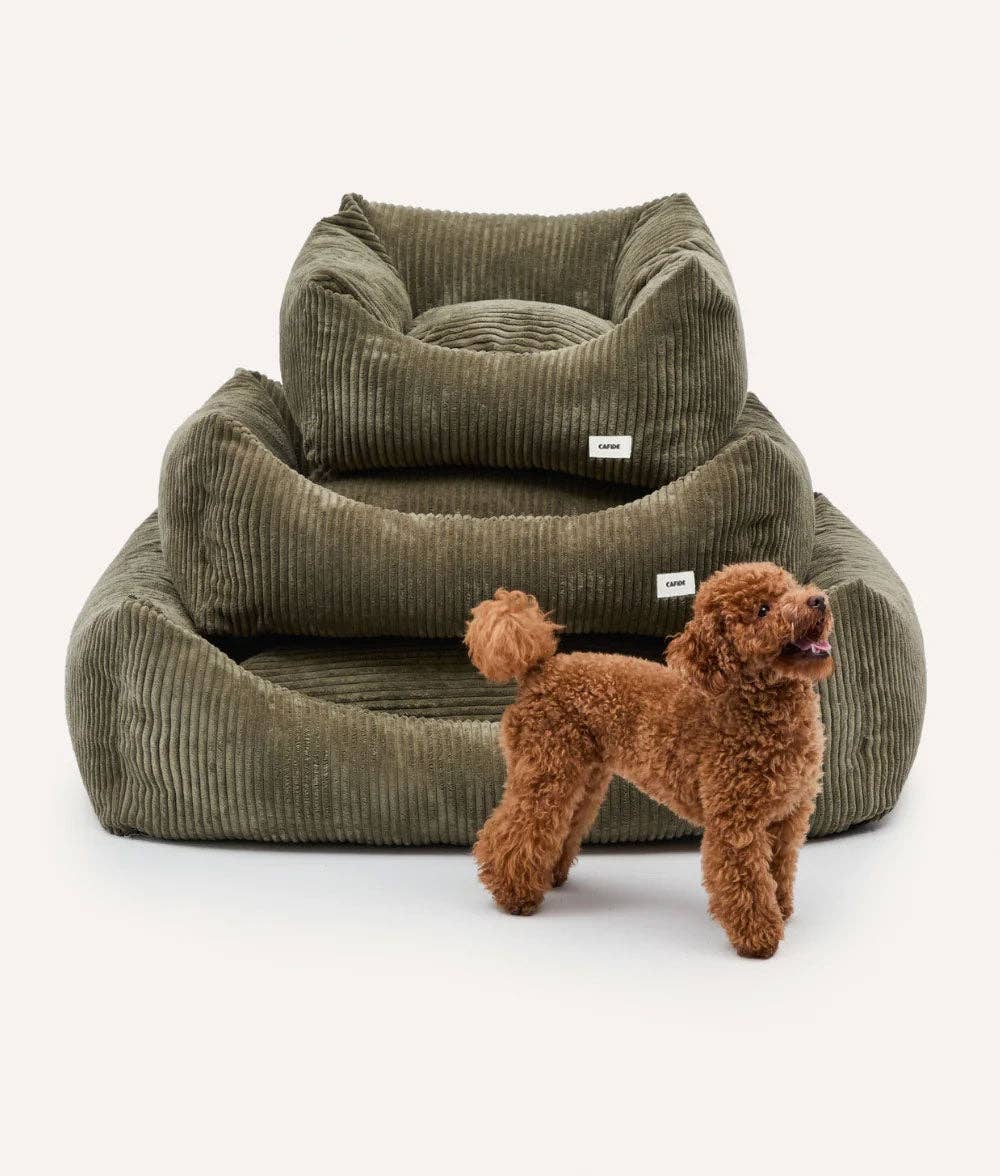 CAFIDE - Hundebett „Snozy“ – Cord