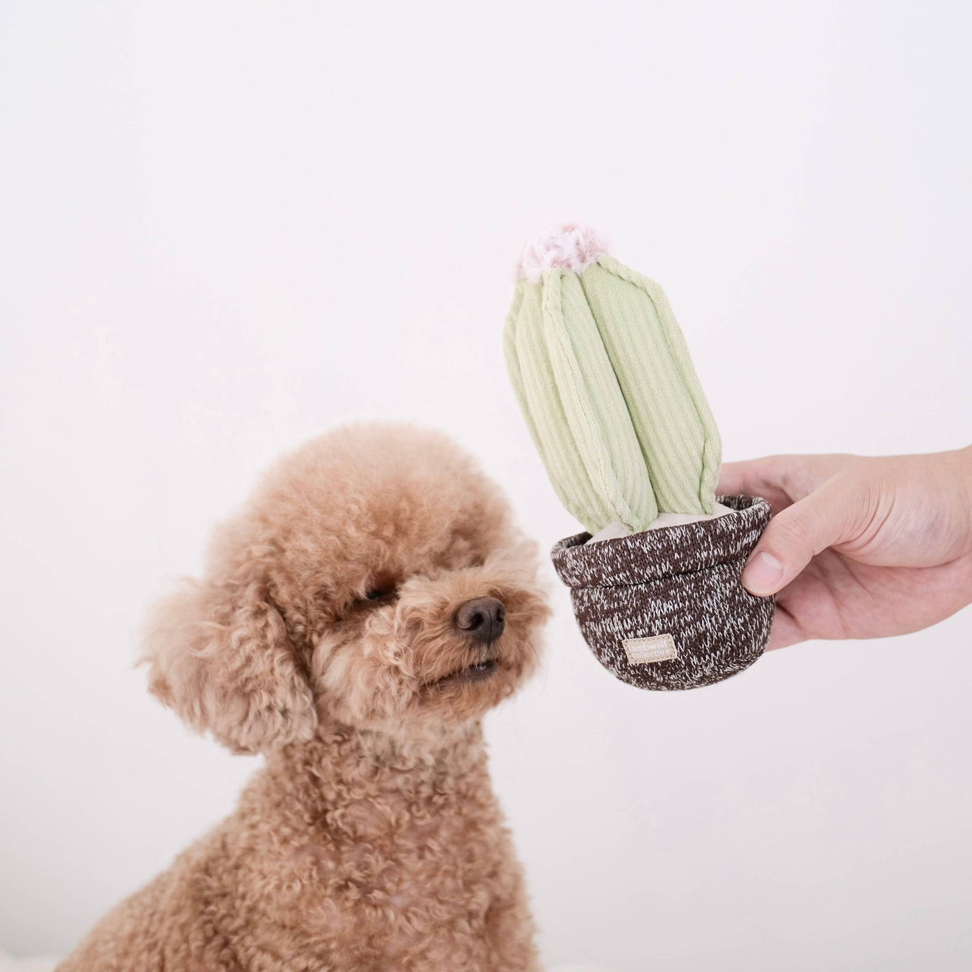LAMBWOLF COLLECTIVE - KAKTUS Snuffle Toy