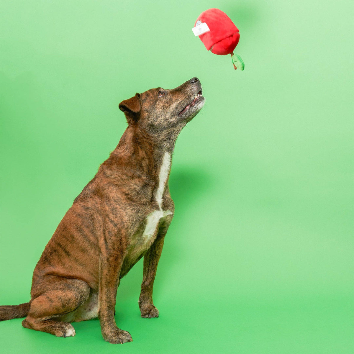 the furryfolks - Apple Nosework-Spielzeug für Hunde - OSSO BLU