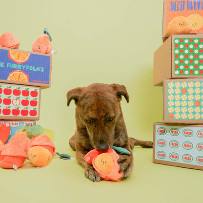 the furryfolks - Orange Nosework-Spielzeug für Hunde - OSSO BLU