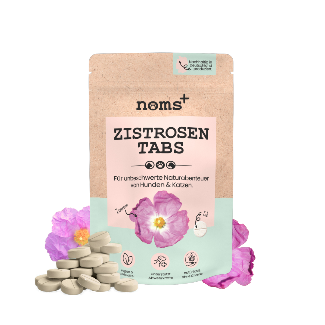 NOMS+ - Cistus Tabs - 100% natural Cistus treat for forest and meadow walks