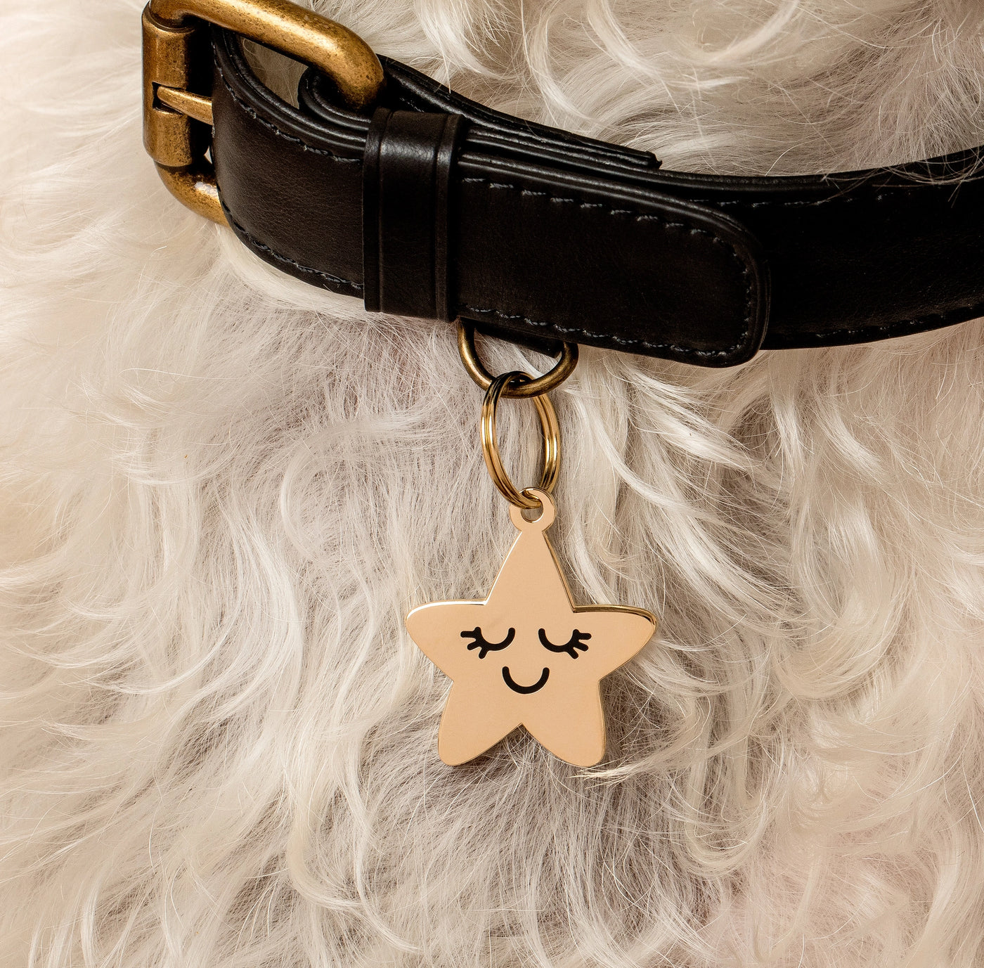 TWO TAILS PET COMPANY - Smiling Star Pet ID Tag