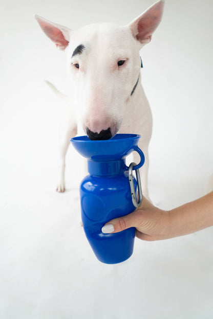 SPRINGLAND PETS – Hundereise-Wasserflasche Classic 650 ml (ohne Silikon-Klappschale) - OSSO BLU