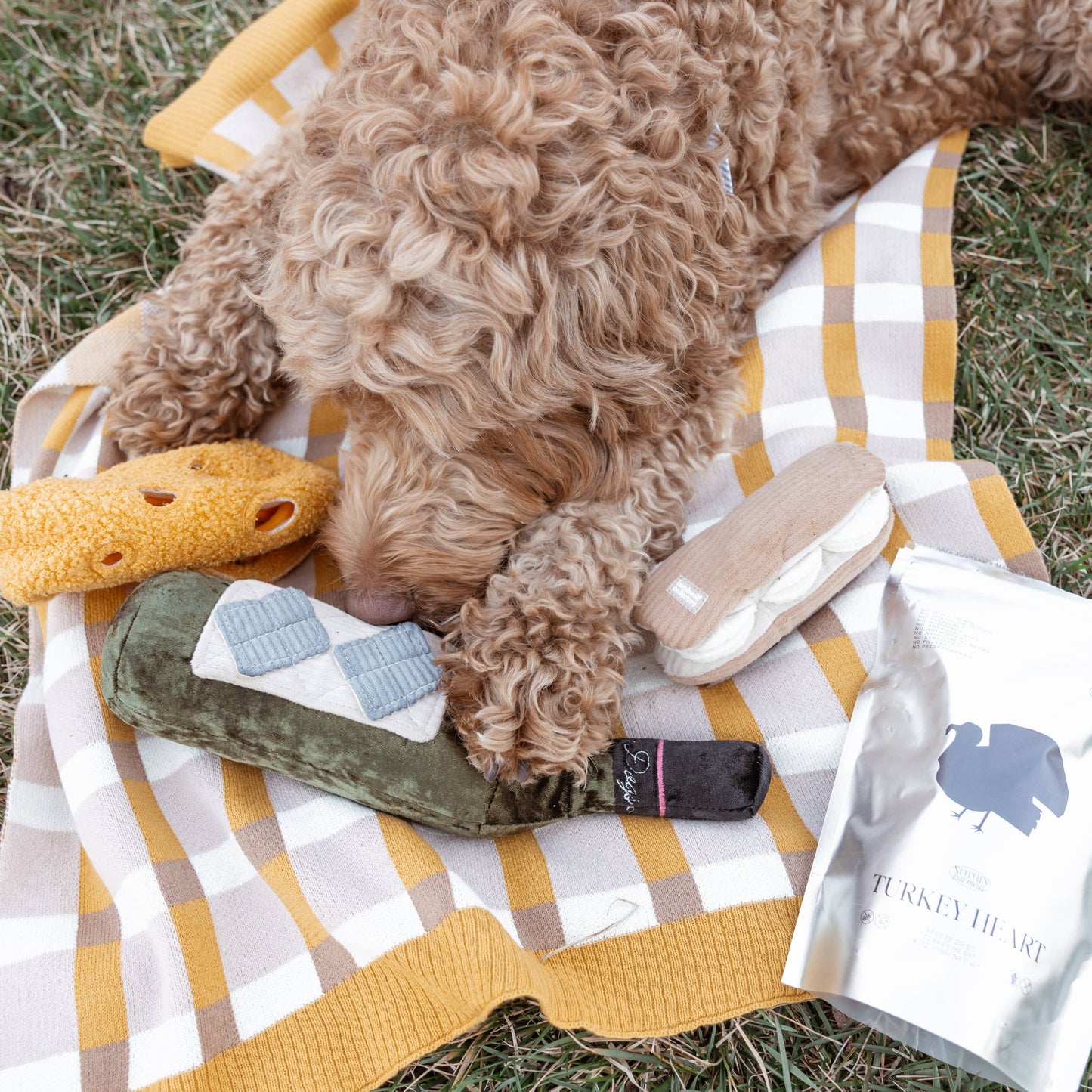 LAMBWOLF COLLECTIVE - MERLOT – Beschäftigungsspielzeug für Hunde