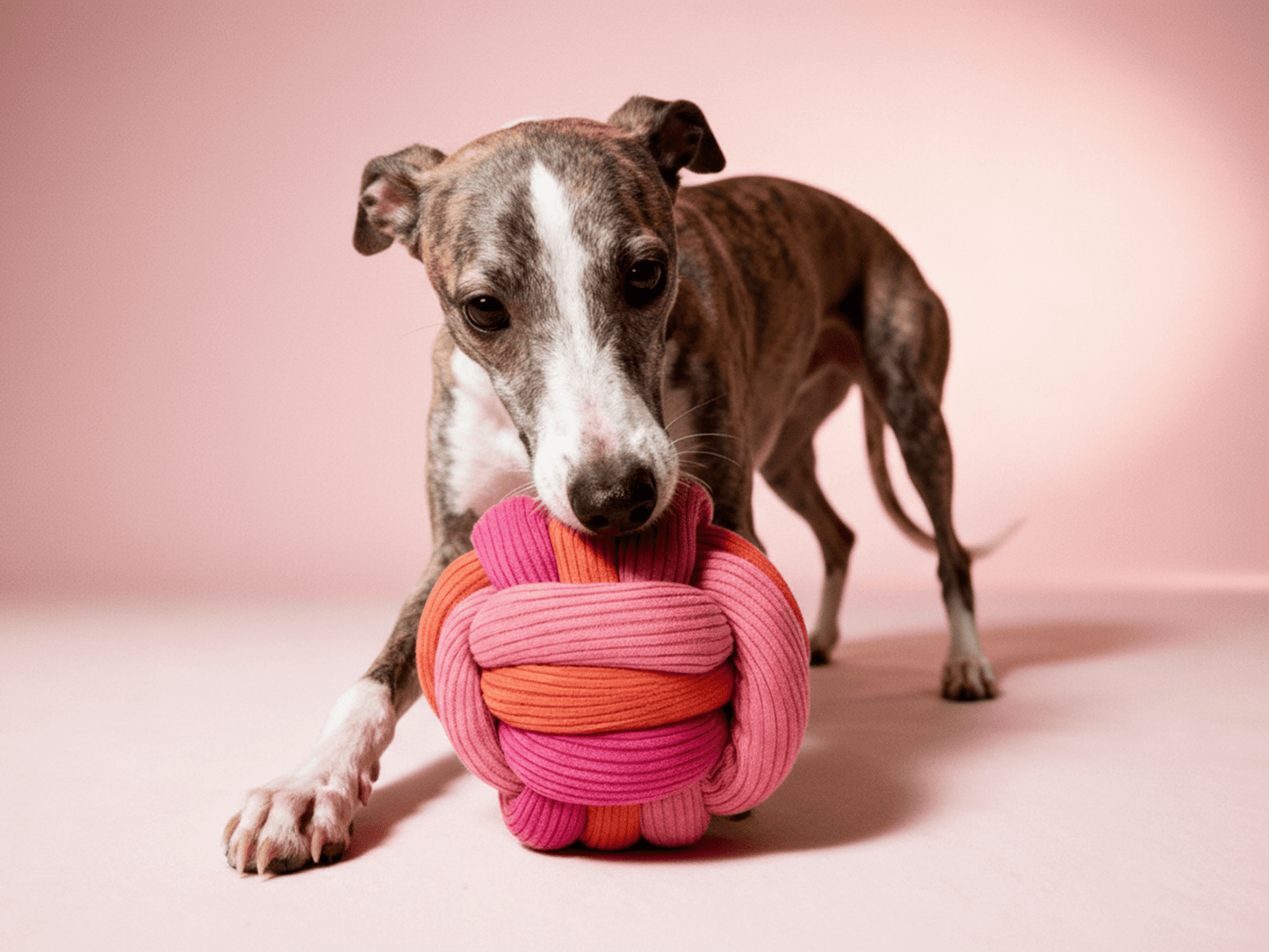 LUMIIES - THE TWISTY BALL Interaktiver Schnüffelball für Hunde - OSSO BLU