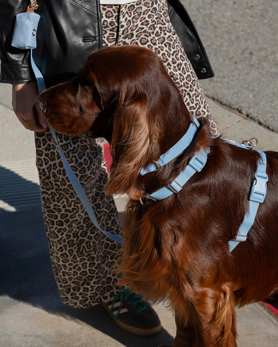 SUNNY TAILS - Wasserdichtes Hundegeschirr - Malibu Blue
