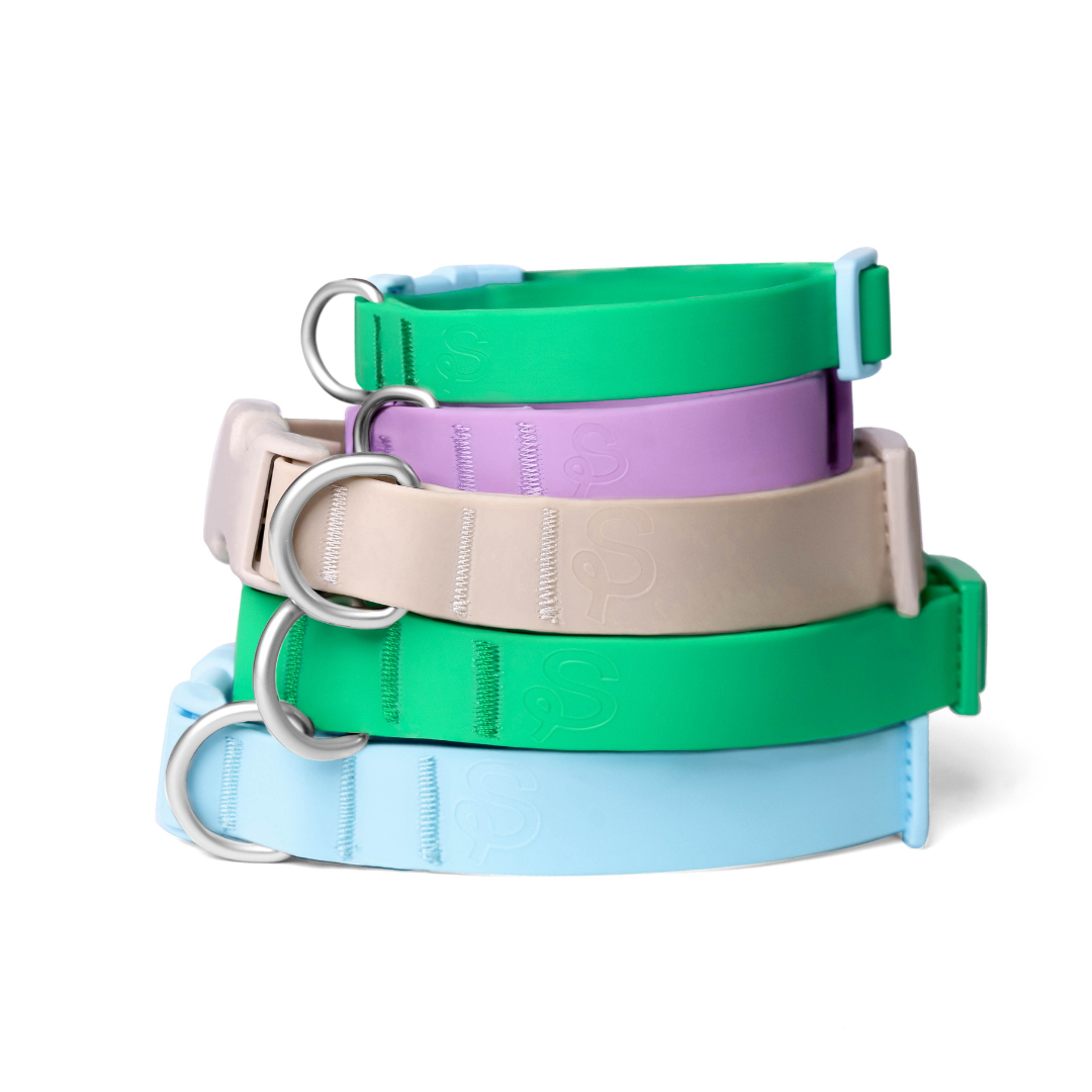 Springland Pets - Wasserdichtes & Verstellbares Hundehalsband (6er Pack) - OSSO BLU