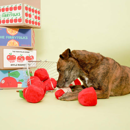 the furryfolks - Apple Nosework-Spielzeug für Hunde - OSSO BLU