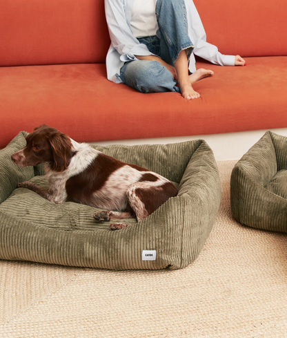 CAFIDE - Hundebett „Snozy“ – Cord