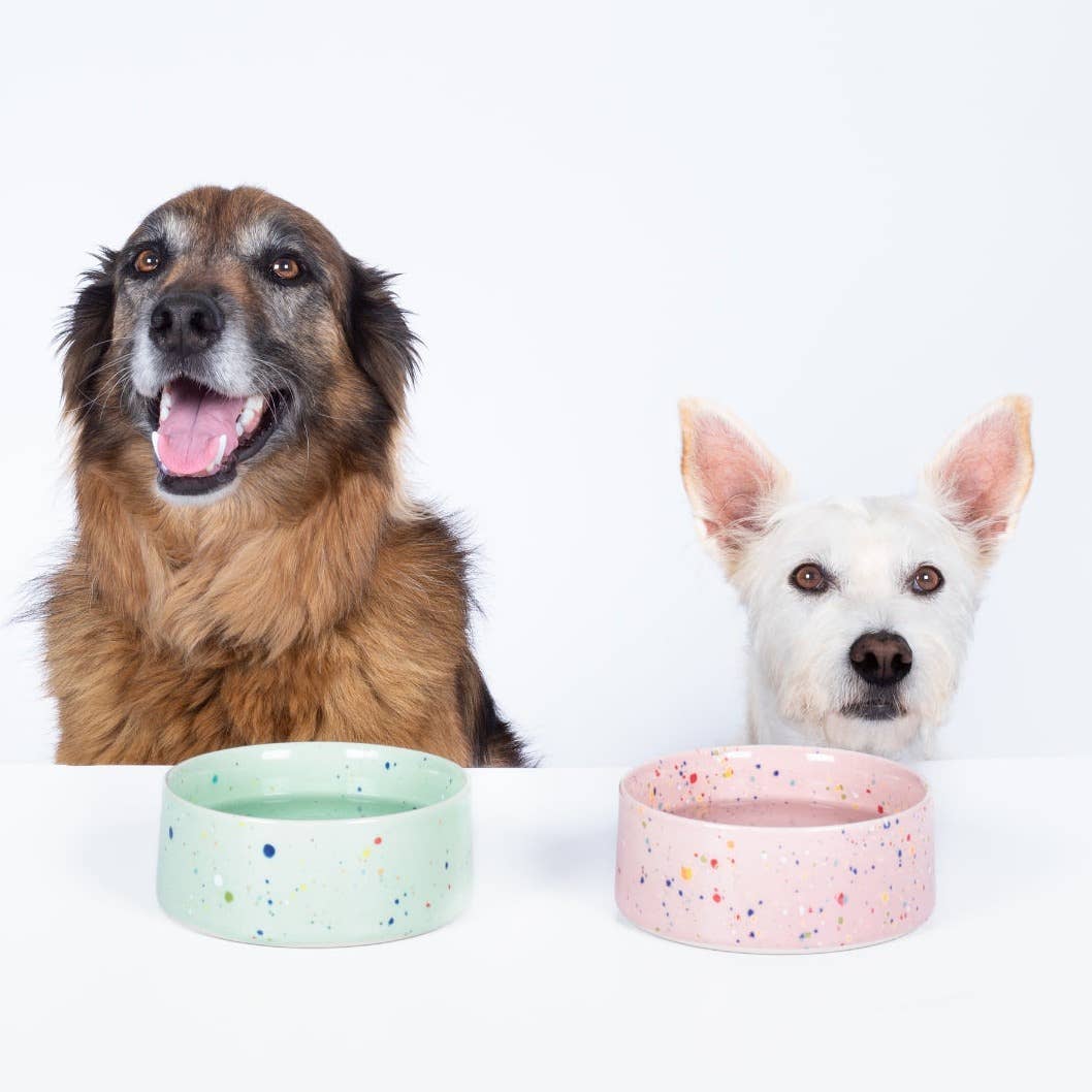 EGG BACK HOME – New Party Dog Bowls (Set of 2, Green)