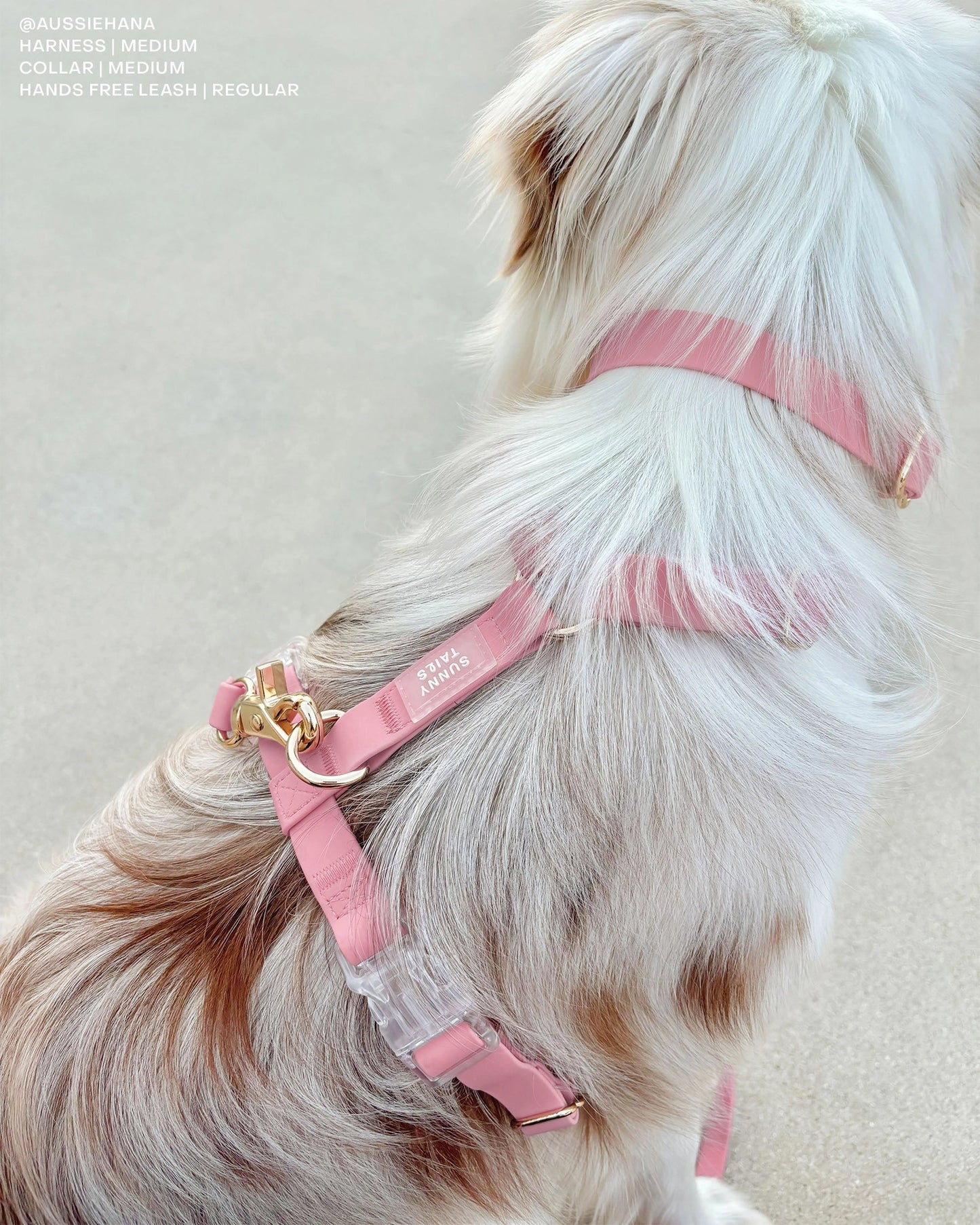 SUNNY TAILS - Wasserdichtes Hundegeschirr - Perfect Pink