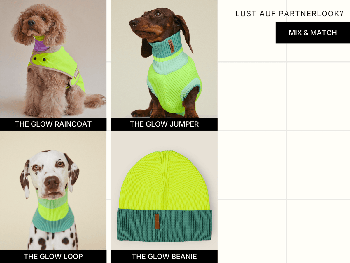 LUMIIES – Glow Jumper 2.0 Hundepullover Neon Matcha