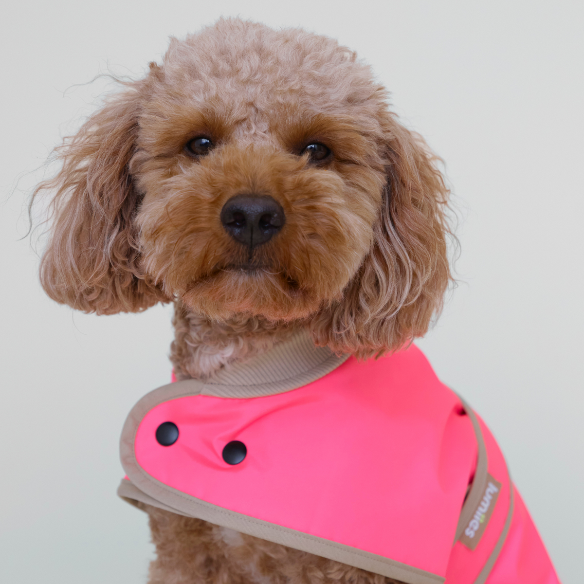 LUMIIES – Glow Raincoat Mini-Fit Hunderegenmantel Neonpink
