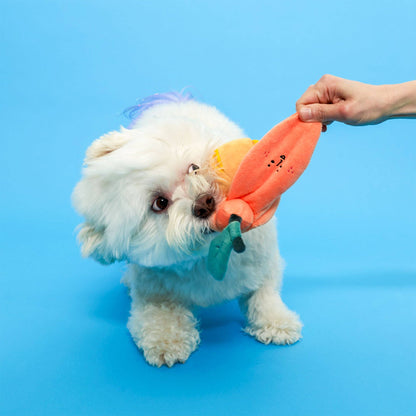the furryfolks - Orange Nosework-Spielzeug für Hunde - OSSO BLU